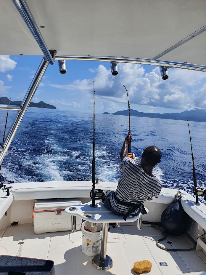 Sweet Lam Too Gallery Image 21