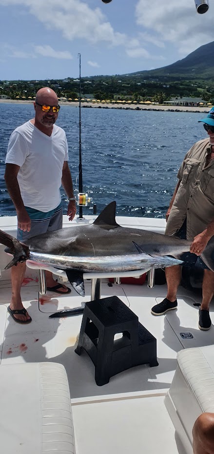 Sweet Lam Too Gallery Image 15