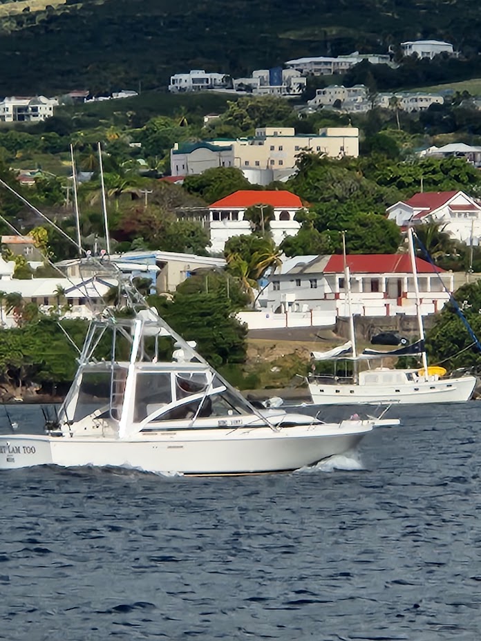 Sweet Lam Too Gallery Image 13