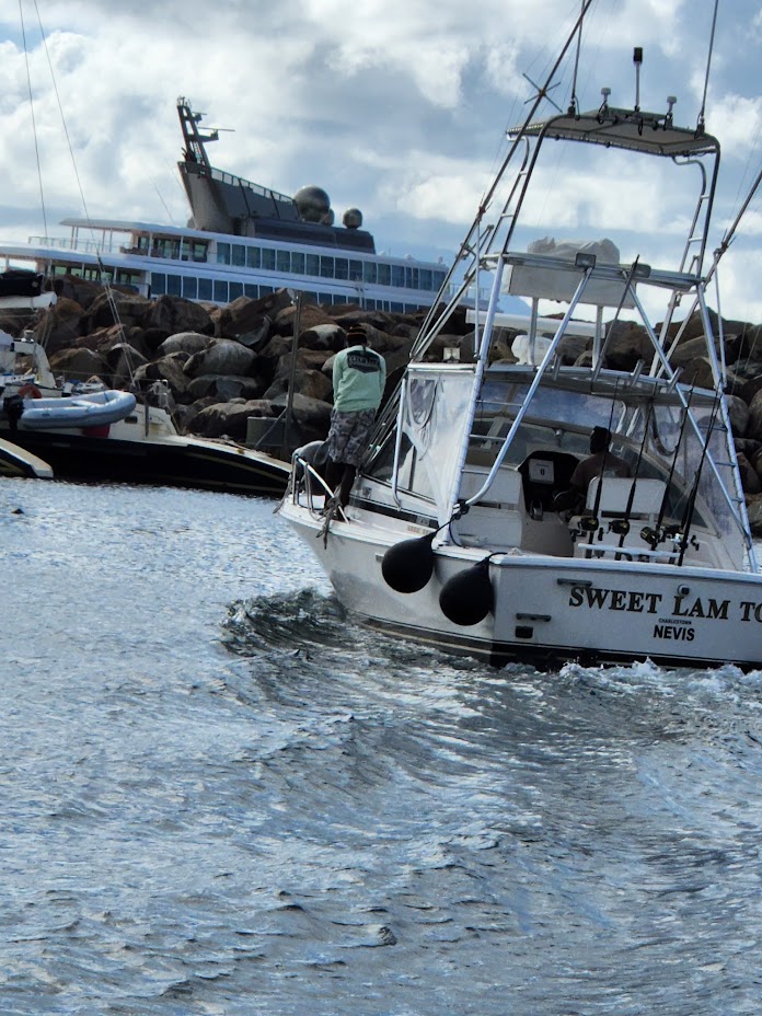 Sweet Lam Too Gallery Image 12