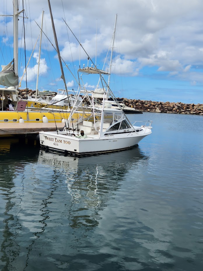 Sweet Lam Too Gallery Image 11