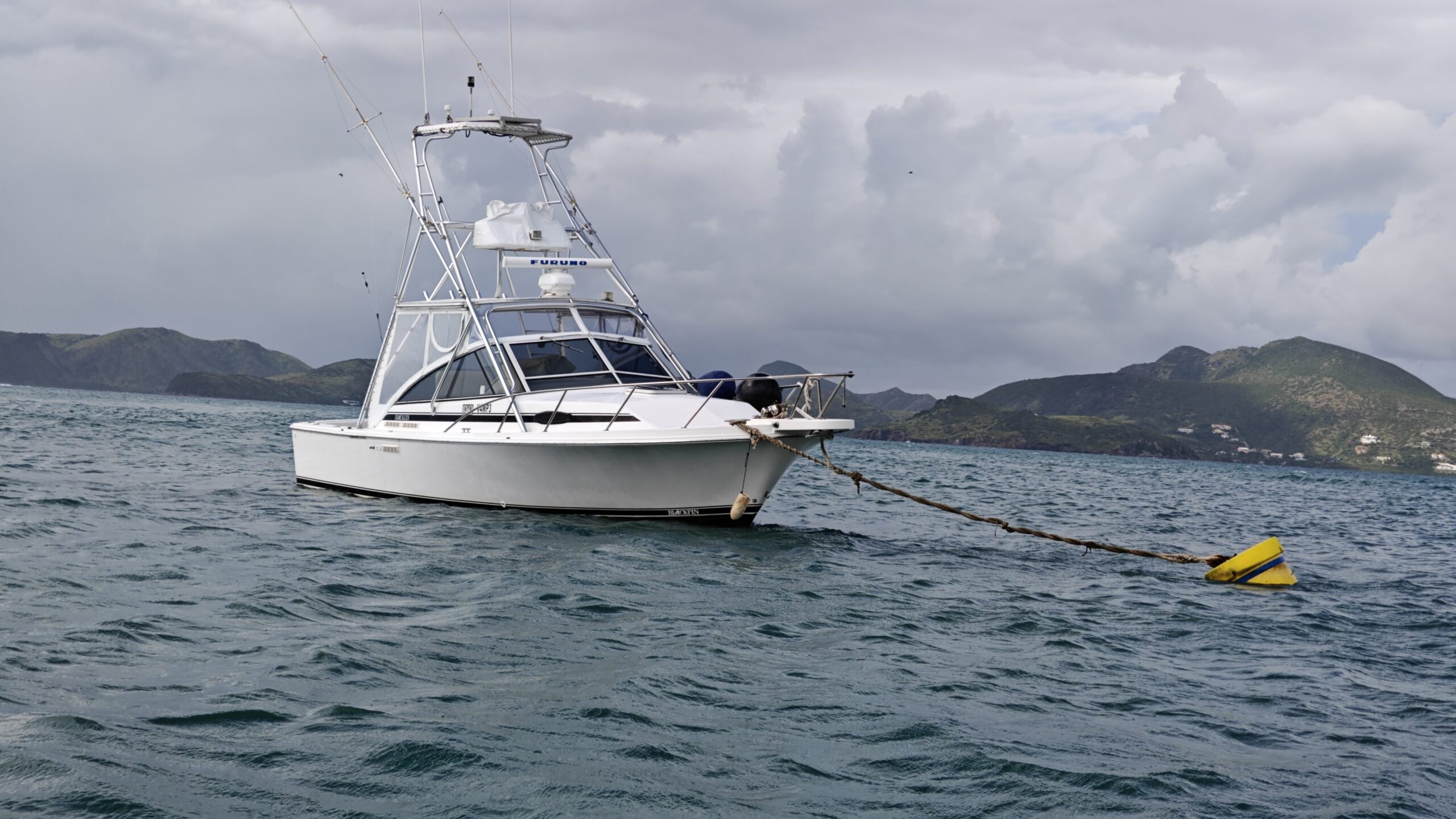 Sweet Lam Too Gallery Image 25