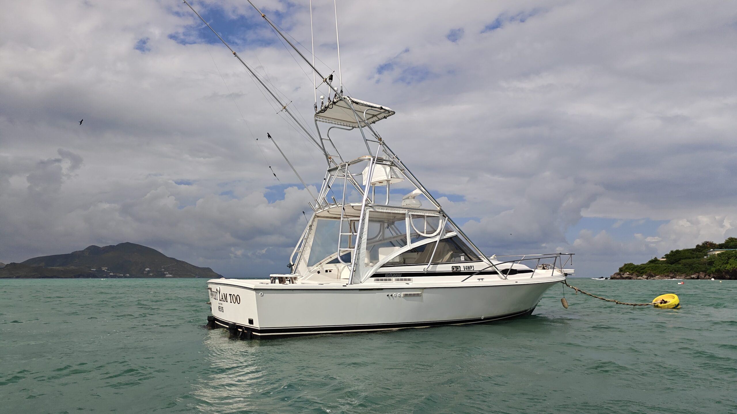 Sweet Lam Too Gallery Image 24